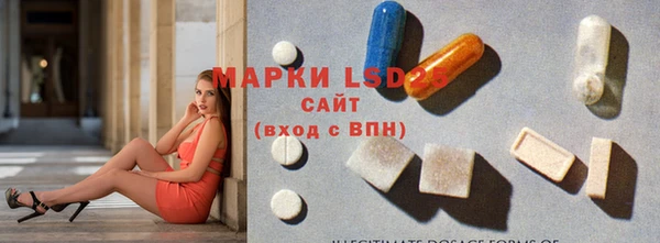 PSILOCYBIN Абинск