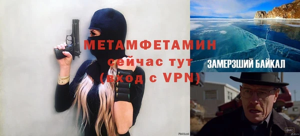 сатива Зеленокумск