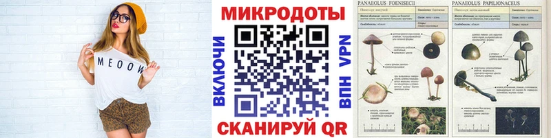 Галлюциногенные грибы GOLDEN TEACHER Нижнекамск